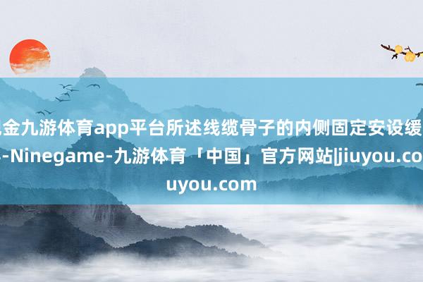 现金九游体育app平台所述线缆骨子的内侧固定安设缓冲层-Ninegame-九游体育「中国」官方网站|jiuyou.com