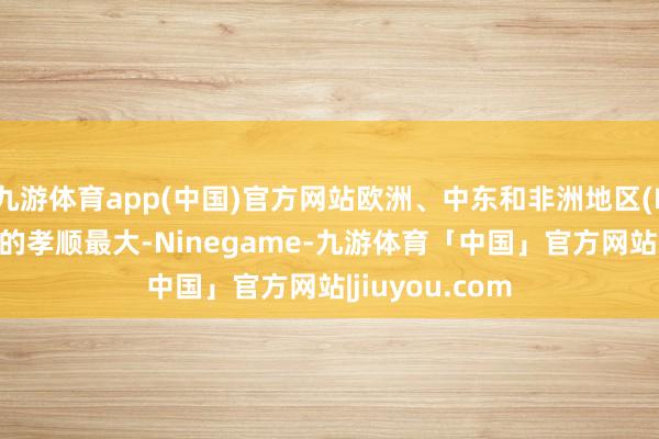 九游体育app(中国)官方网站欧洲、中东和非洲地区(EMEA)对收入的孝顺最大-Ninegame-九游体育「中国」官方网站|jiuyou.com