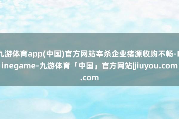 九游体育app(中国)官方网站宰杀企业猪源收购不畅-Ninegame-九游体育「中国」官方网站|jiuyou.com