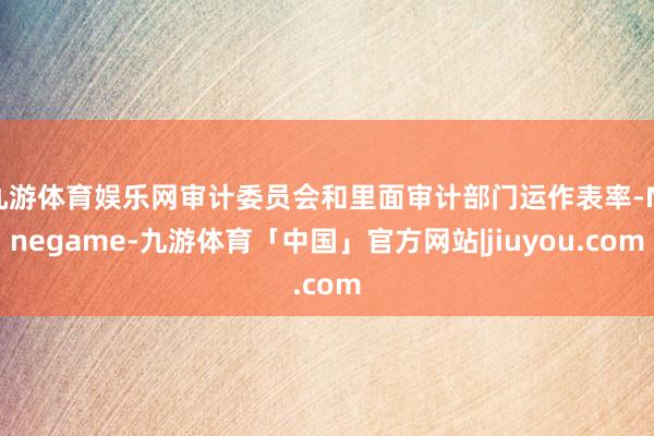 九游体育娱乐网审计委员会和里面审计部门运作表率-Ninegame-九游体育「中国」官方网站|jiuyou.com