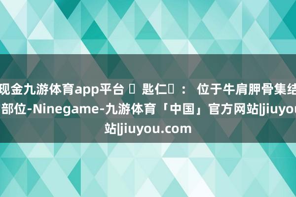 现金九游体育app平台 匙仁: 位于牛肩胛骨集结头部的部位-Ninegame-九游体育「中国」官方网站|jiuyou.com