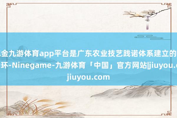 现金九游体育app平台是广东农业技艺践诺体系建立的要害一环-Ninegame-九游体育「中国」官方网站|jiuyou.com
