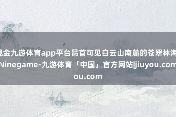 现金九游体育app平台昂首可见白云山南麓的苍翠林海-Ninegame-九游体育「中国」官方网站|jiuyou.com