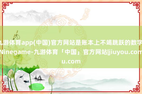 九游体育app(中国)官方网站是账本上不竭跳跃的数字-Ninegame-九游体育「中国」官方网站|jiuyou.com